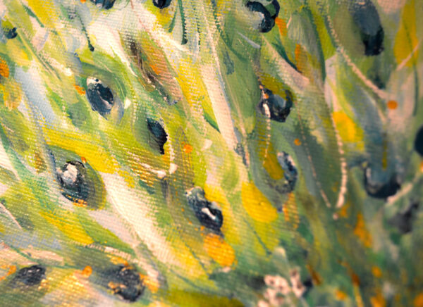 Peacock - Image 2
