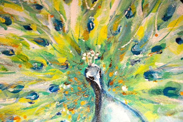 Peacock - Image 3