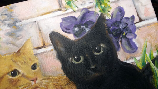 Cats - Image 3