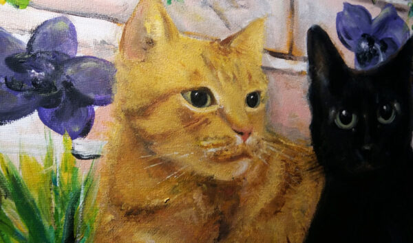 Cats - Image 4