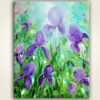 Iris, My Love