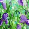 Iris, My Love - Image 3