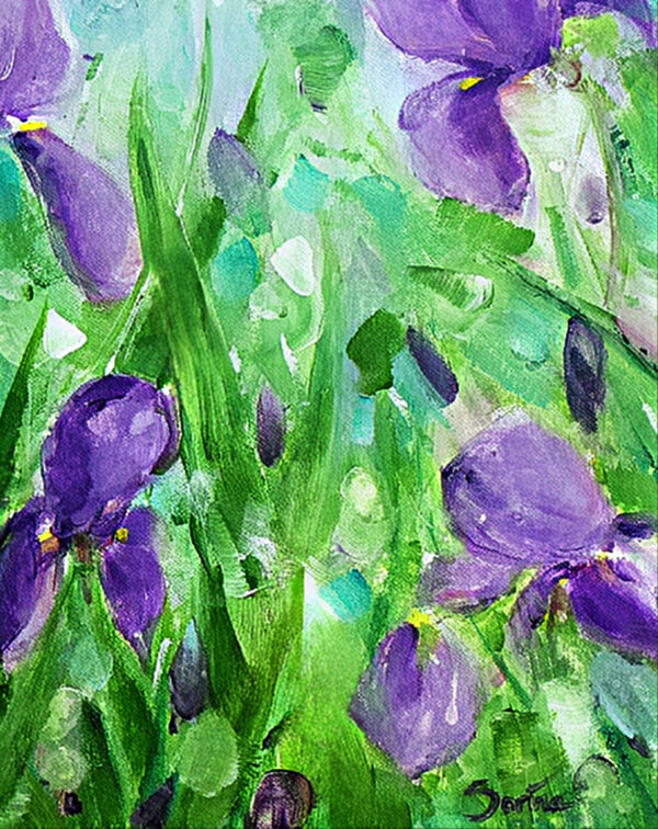 Iris, My Love - Image 3