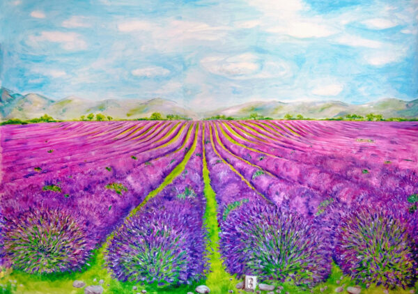 Lavander Field - Image 2