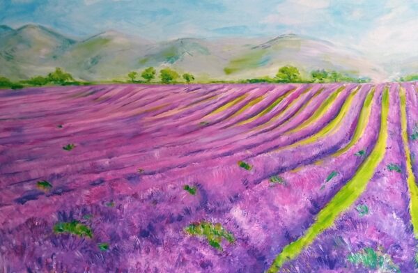 Lavander Field - Image 4
