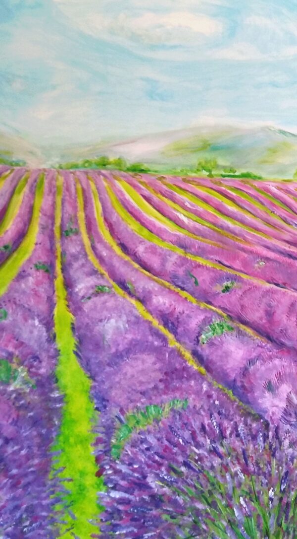 Lavander Field - Image 5