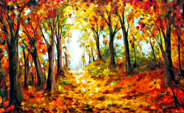 Mystery Forest - Image 2
