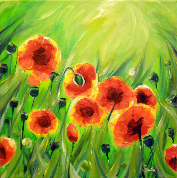 Poppies - Image 4