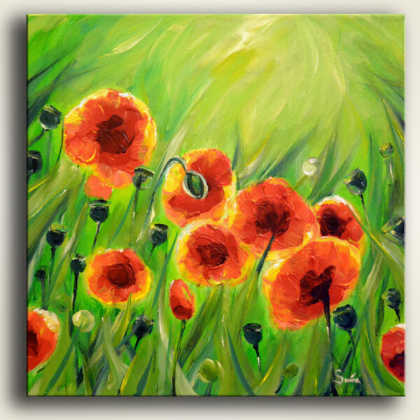 Poppies
