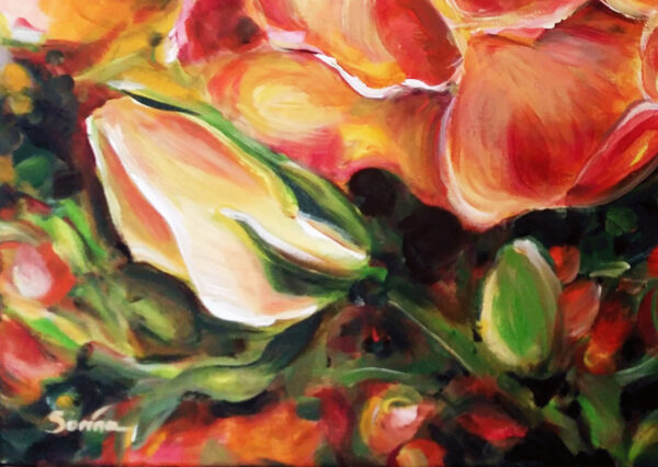 Roses of My Heart - Image 5