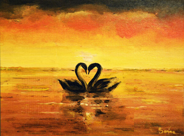 Swans at Sunset - Image 2