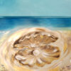 The Shell - Image 5