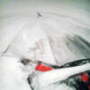 Under the Umbrella - Image 3