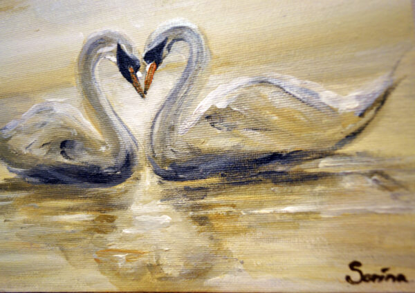 White Swans - Image 4
